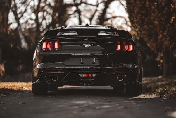 Winning Casino Android/iOS Forrit